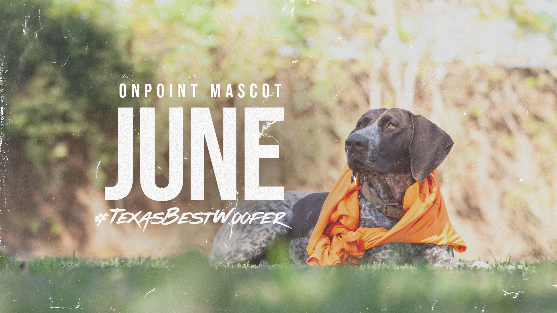 OPR_Website_Slider_1